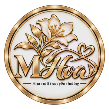 Shop hoa tươi Phường Trần Liễu Hải Phòng - Gửi sự quan tâm qua từng món hoa